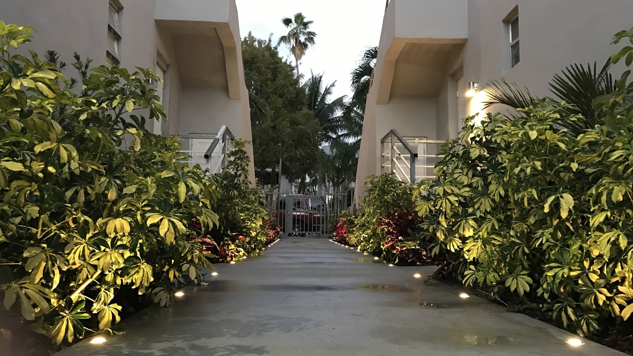 Photo of Outdoor in Flamingo/Lummus