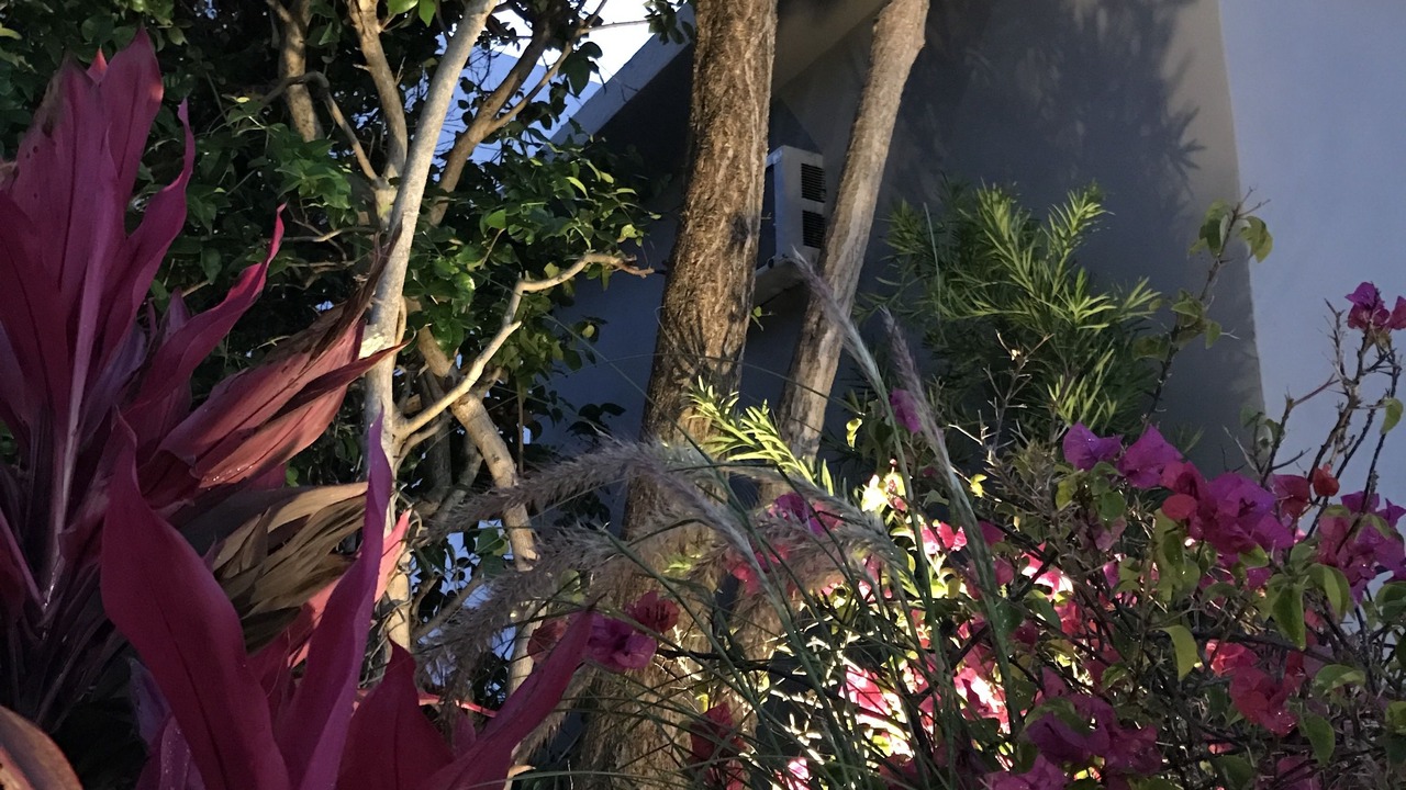 Photo of Outdoor in Flamingo/Lummus
