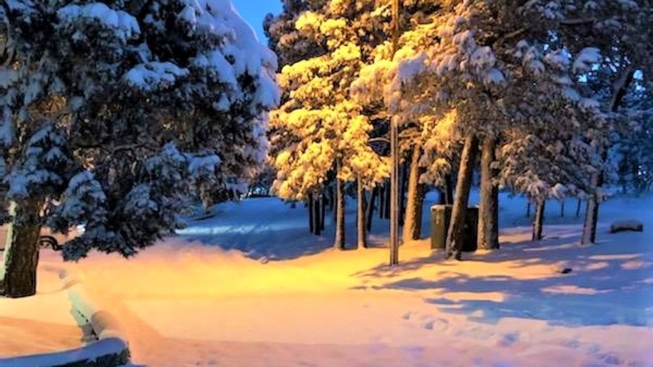 Photo of Outdoor in Ruidoso