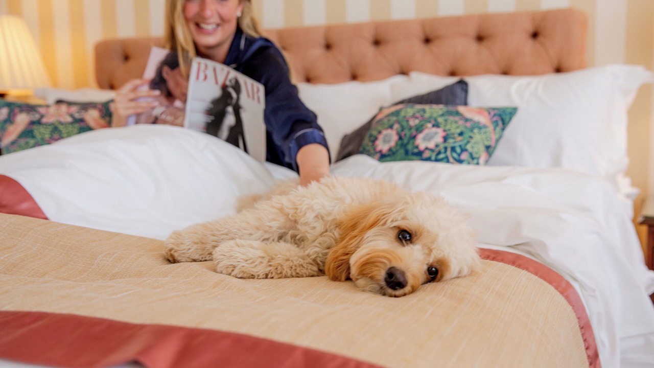 Photo of Others in Queen's Gate