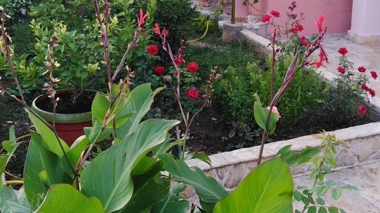 Photo of Outdoor in Kraj