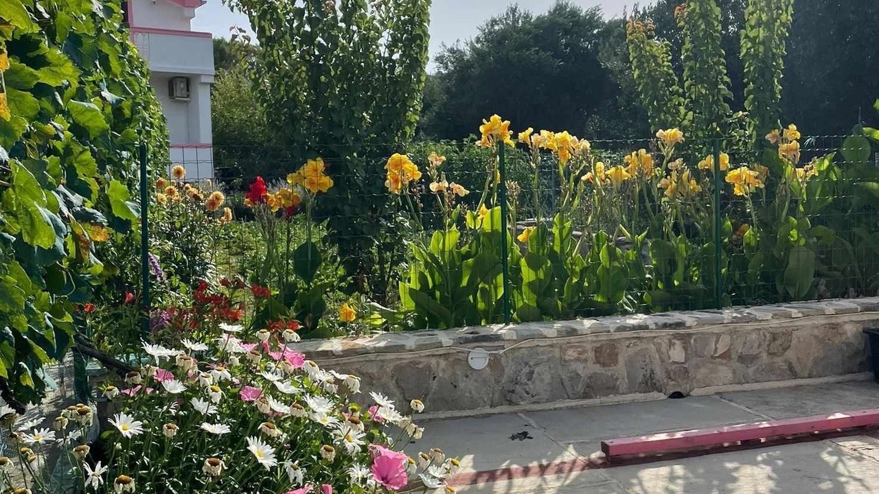 Photo of Outdoor in Kraj
