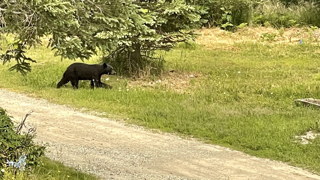 Photo of Outdoor in Bear Valley