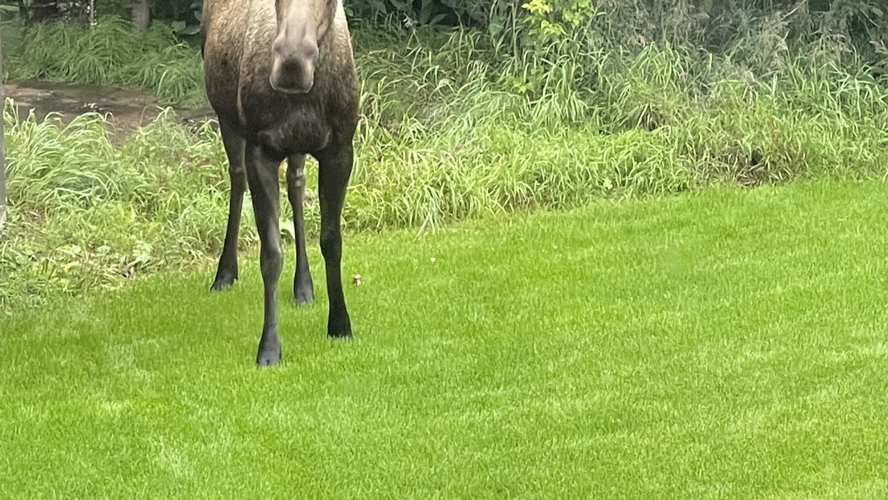 Photo of Outdoor in Bear Valley