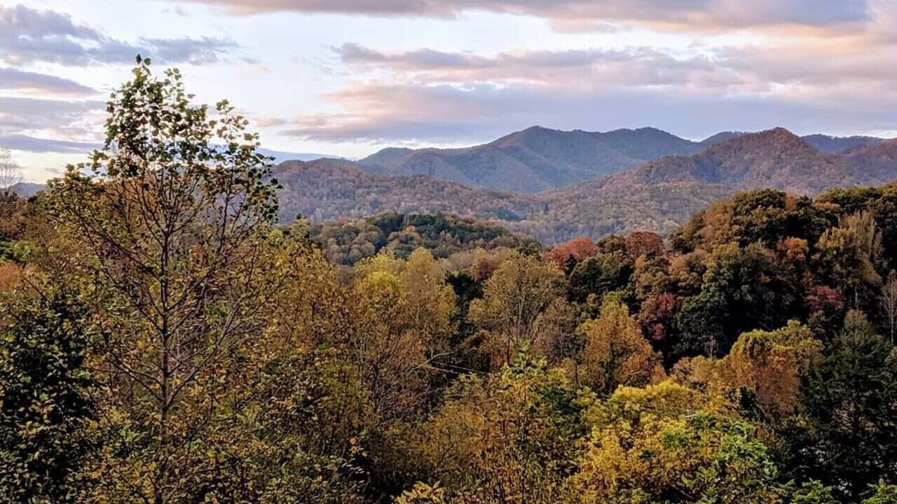 Photo of Others in Bryson City
