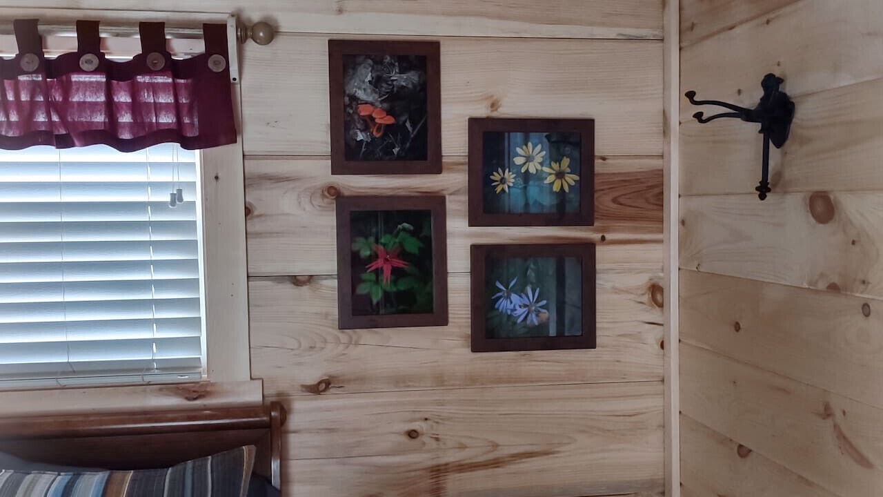 Photo of Bedroom in Bryson City