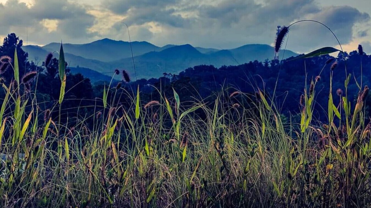 Photo of Others in Bryson City