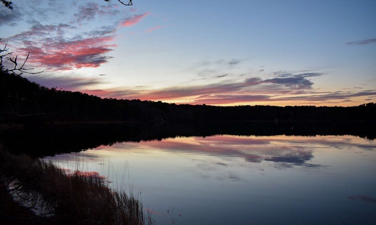 Photo of Others in South Chatham