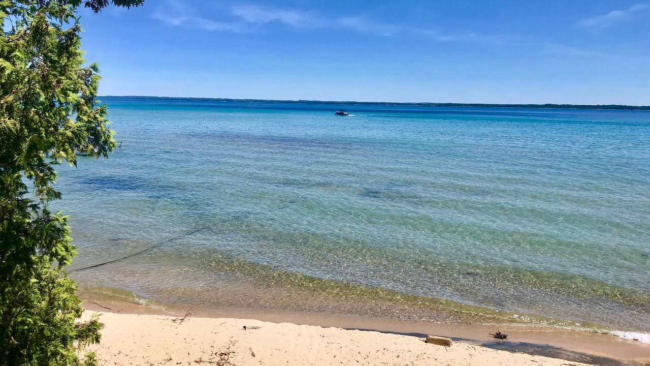 Photo of Others in Traverse City