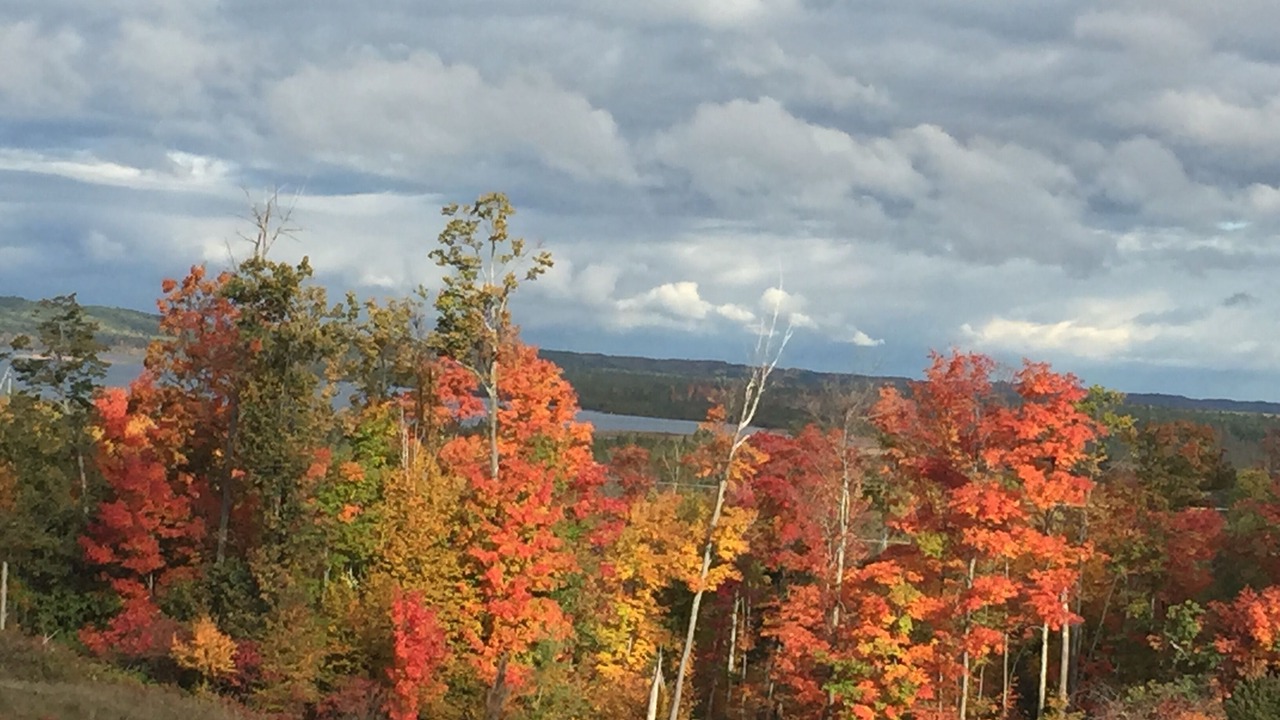 Photo of Outdoor in Traverse City