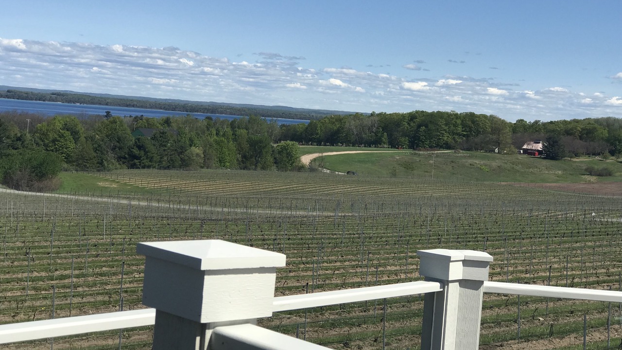 Photo of Others in Traverse City