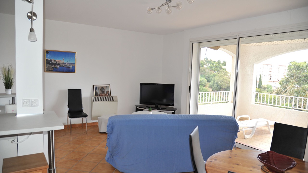 Photo of Livingroom in Cerbere