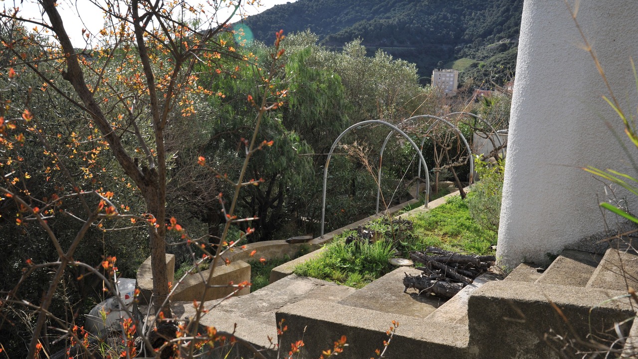 Photo of Outdoor in Cerbere
