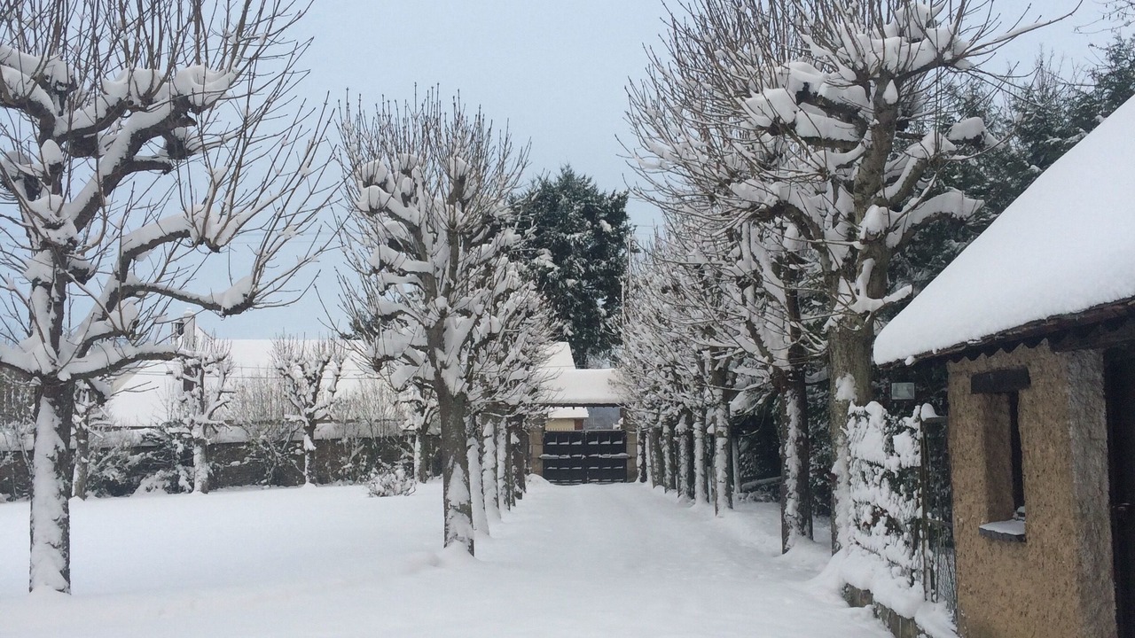 Photo of Outdoor in Saint-Georges-Motel