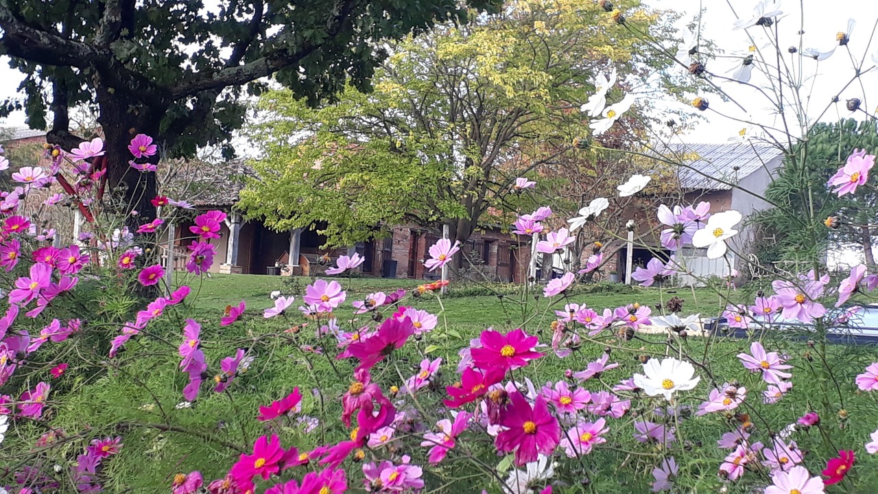 Photo of Outdoor in Lacourt-Saint-Pierre