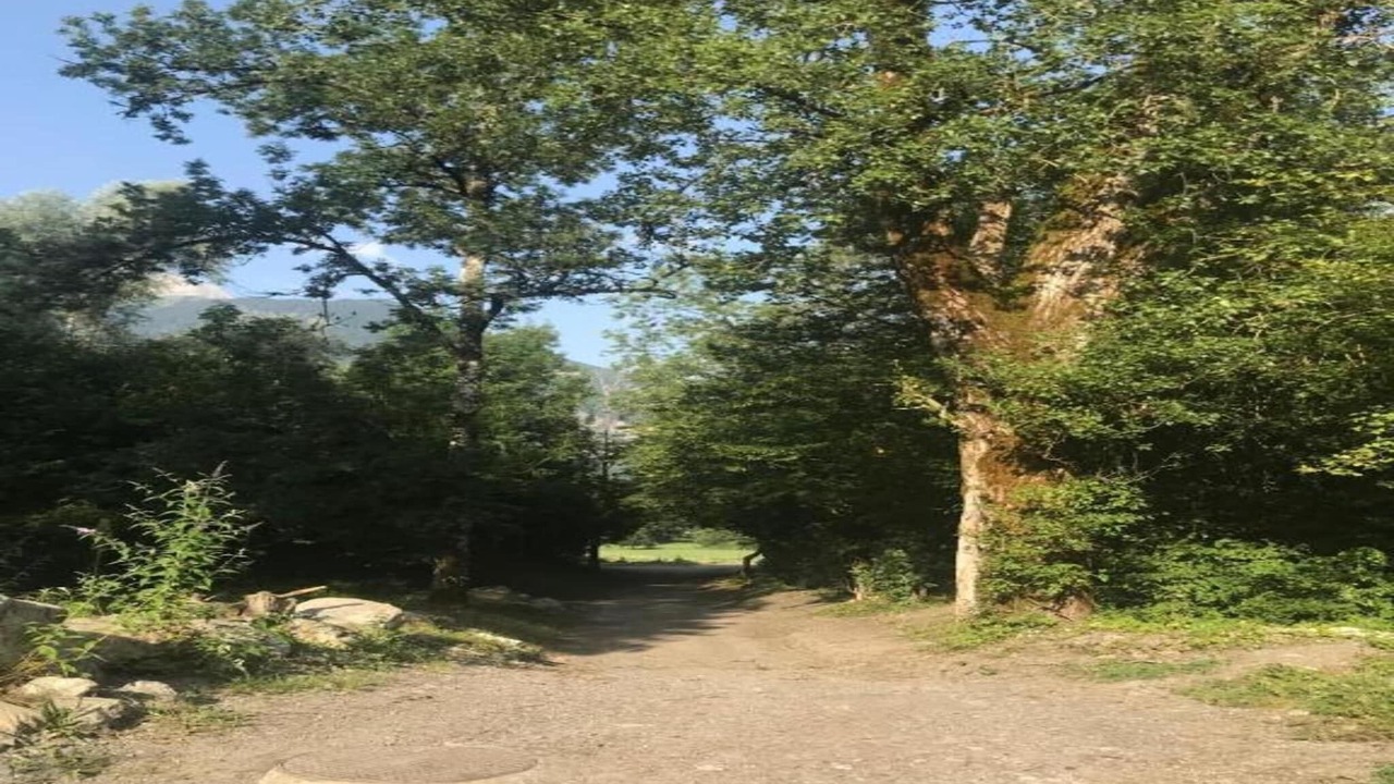 Photo of Others in Giez