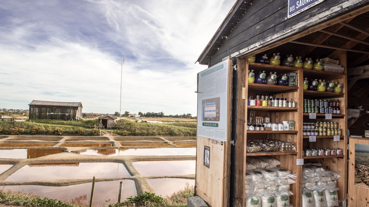 Photo of Outdoor in Olonne-sur-Mer