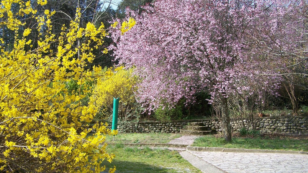 Photo of Outdoor in Le Vigan
