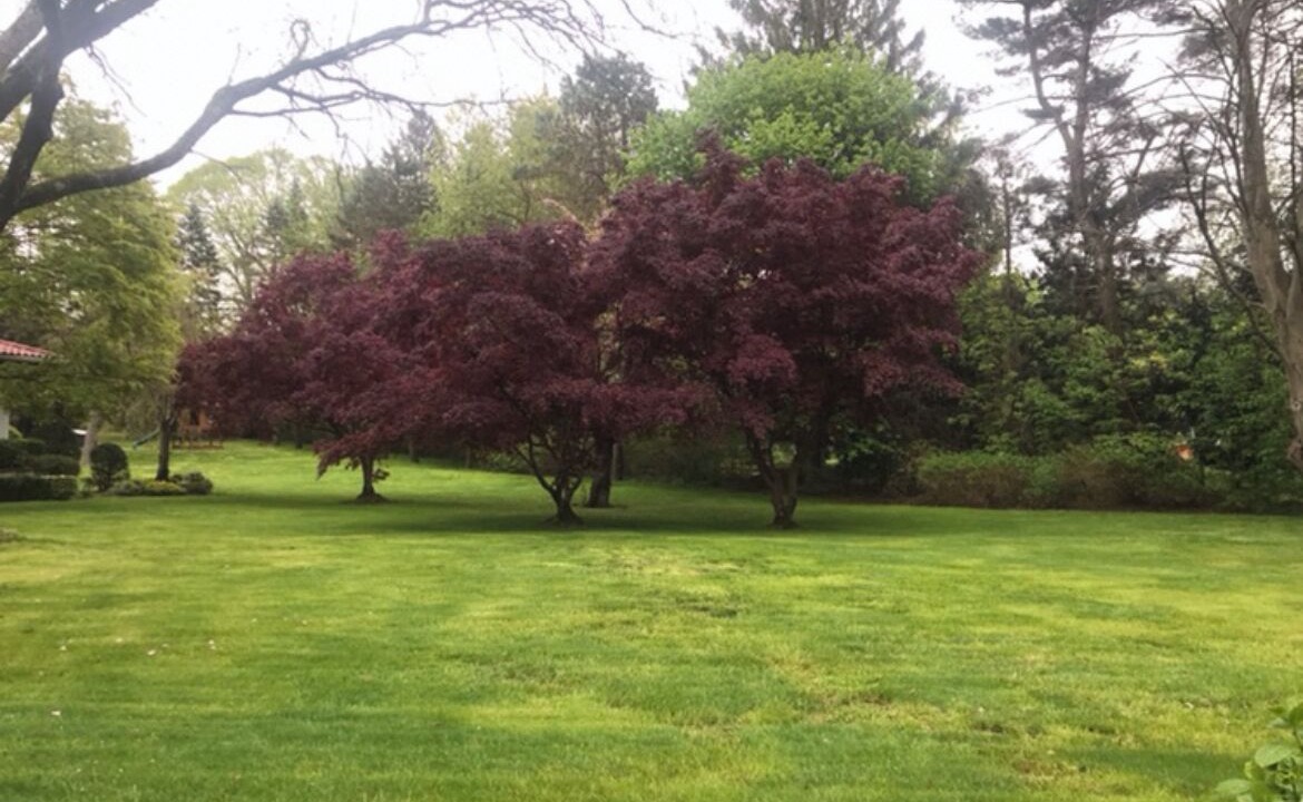 Photo of Outdoor in Old Brookville