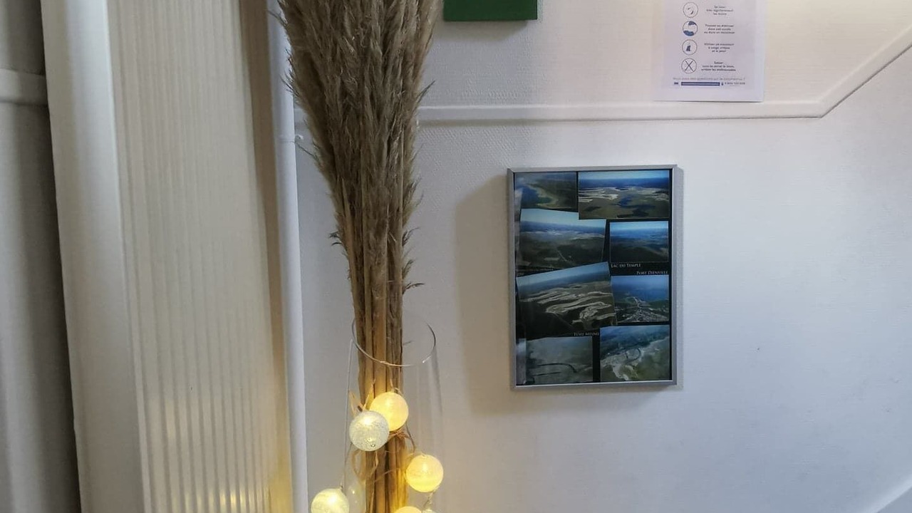 Photo of Others in Old Town