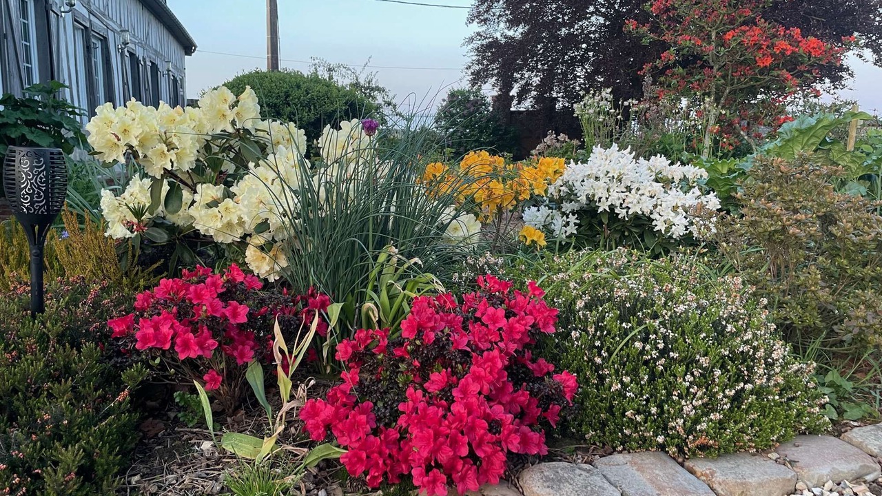 Photo of Outdoor in Epegard