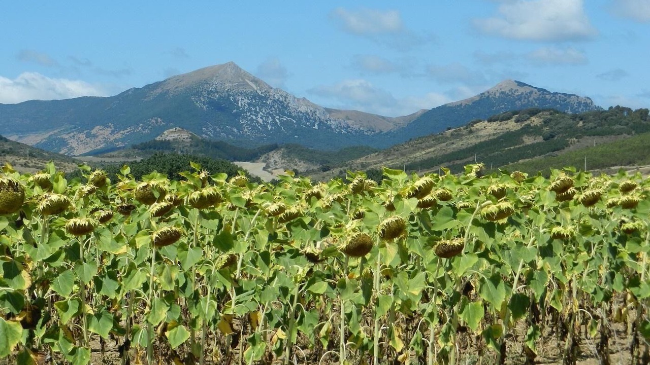 Photo of Outdoor in Asiain