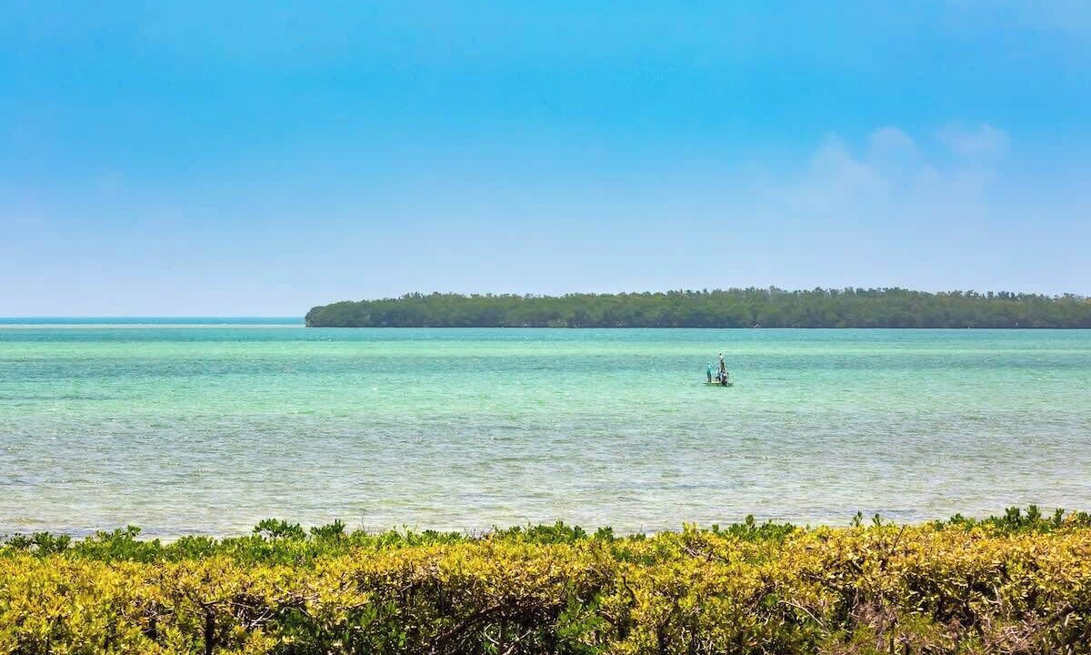 Photo of Others in Tavernier