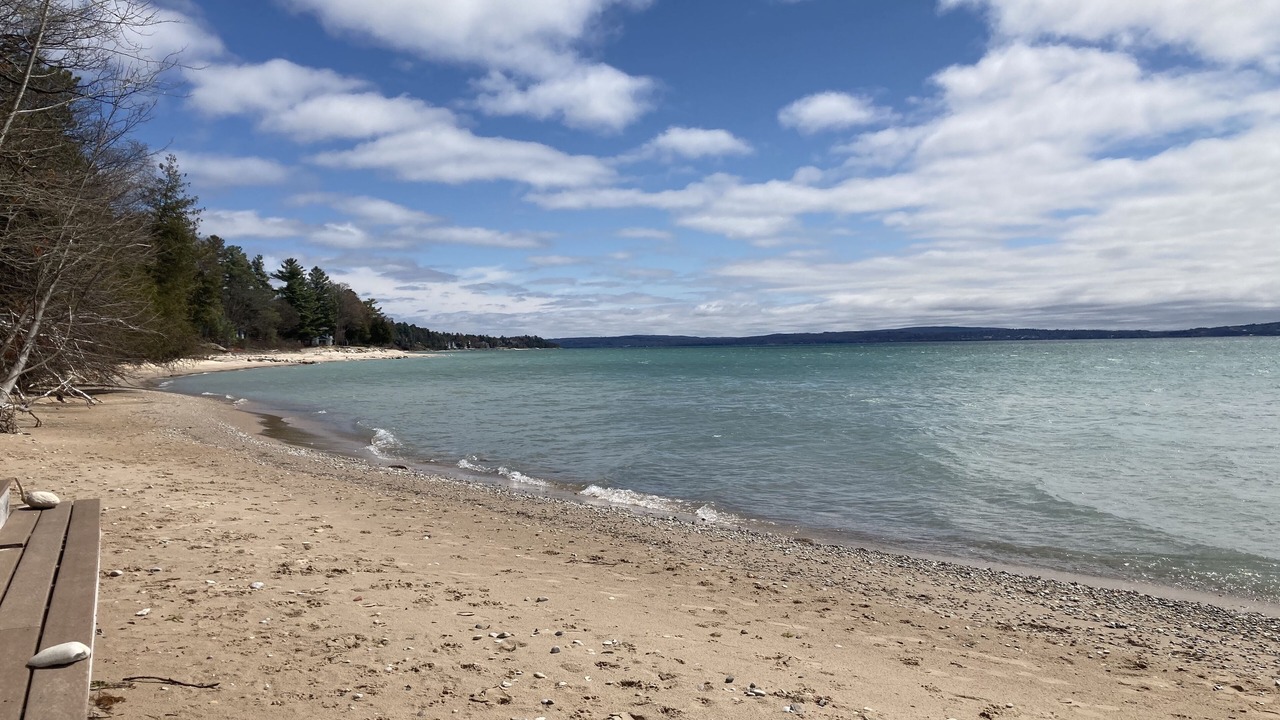 Photo of Others in Forest Beach