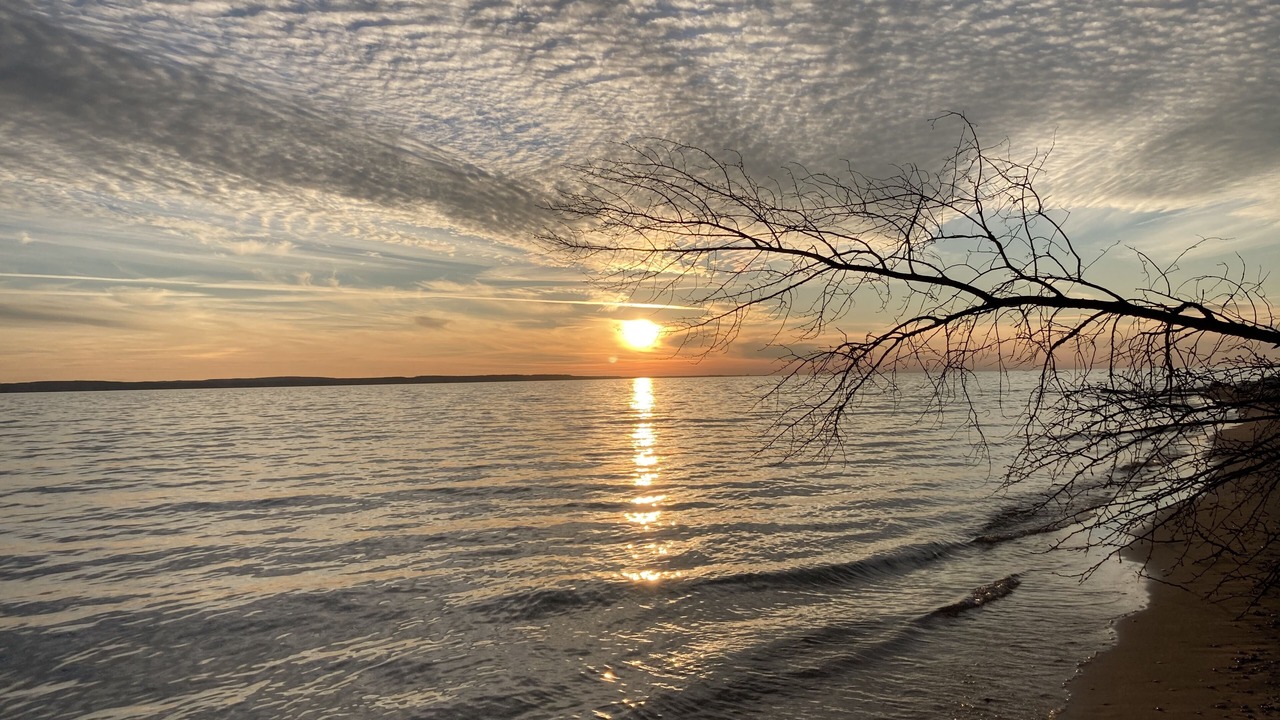 Photo of Others in Forest Beach