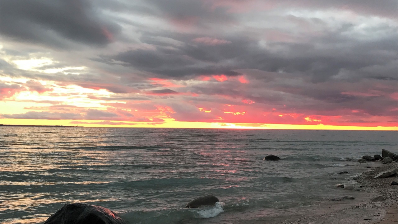 Photo of Others in Forest Beach