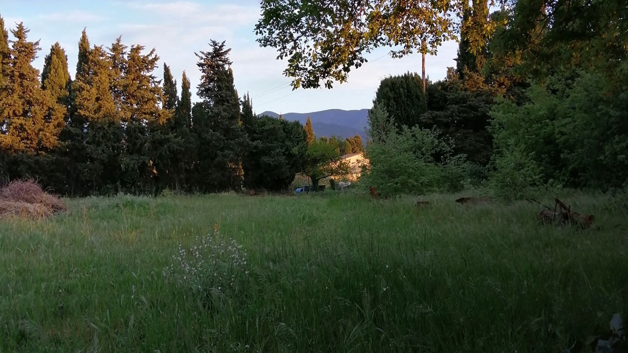 Photo of Outdoor in Palau-del-Vidre