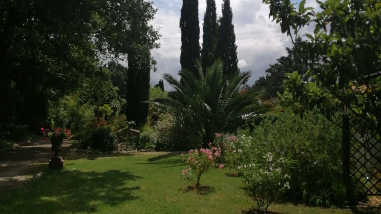 Photo of Outdoor in Palau-del-Vidre