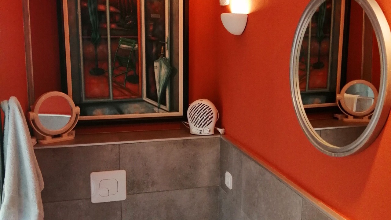 Photo of Bathroom in Palau-del-Vidre
