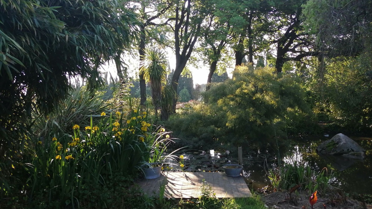 Photo of Outdoor in Palau-del-Vidre