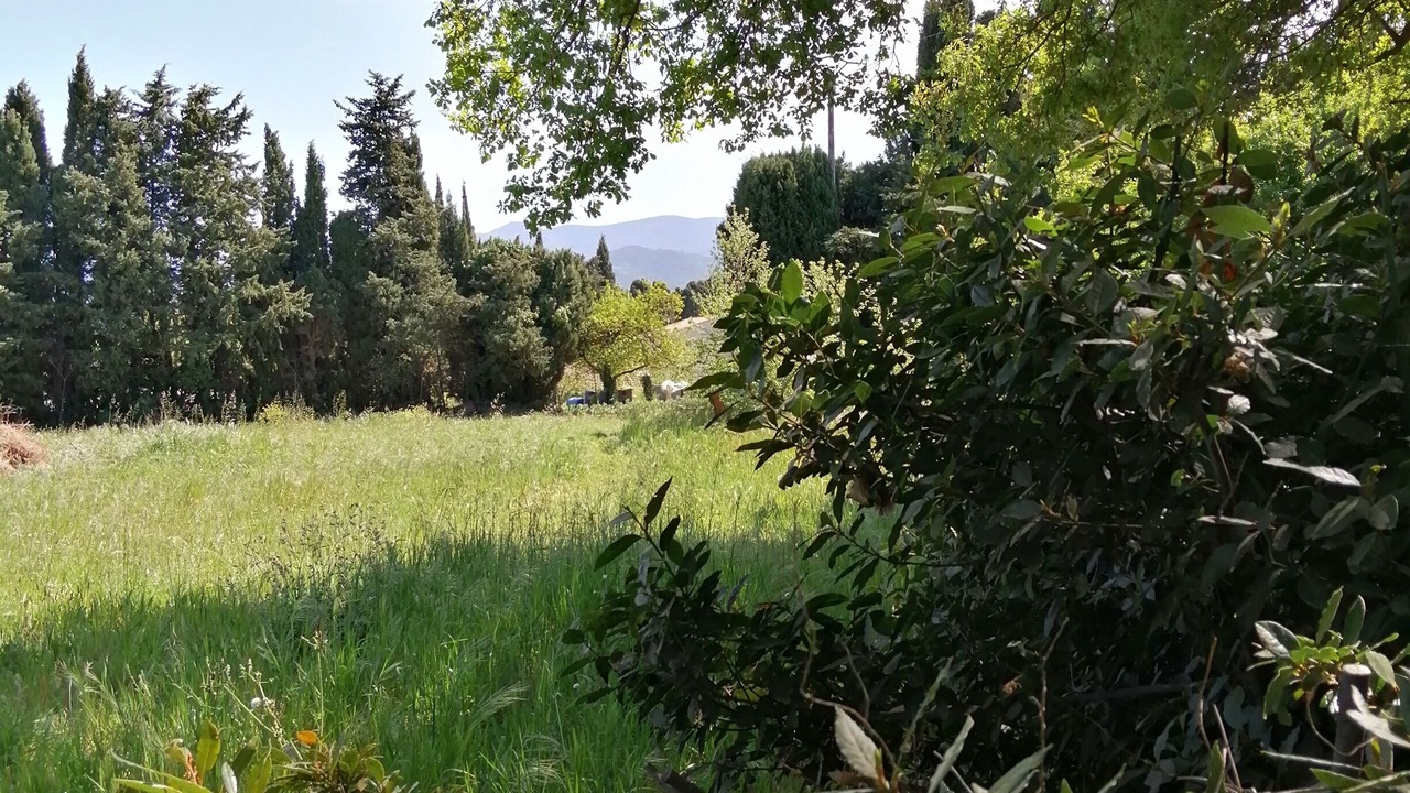 Photo of Outdoor in Palau-del-Vidre