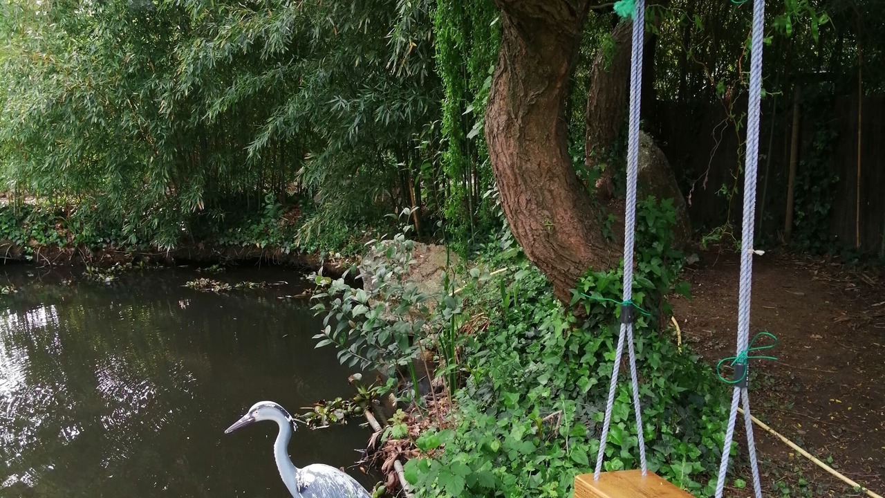 Photo of Outdoor in Palau-del-Vidre