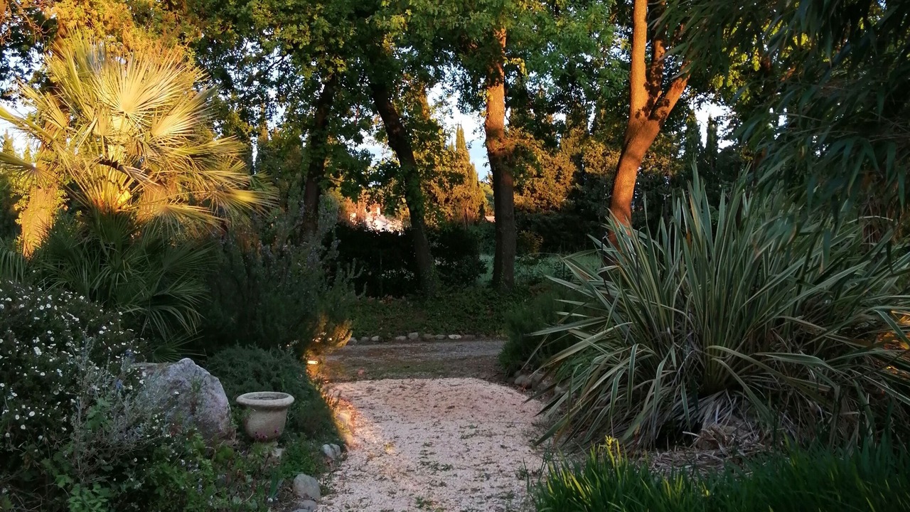Photo of Outdoor in Palau-del-Vidre