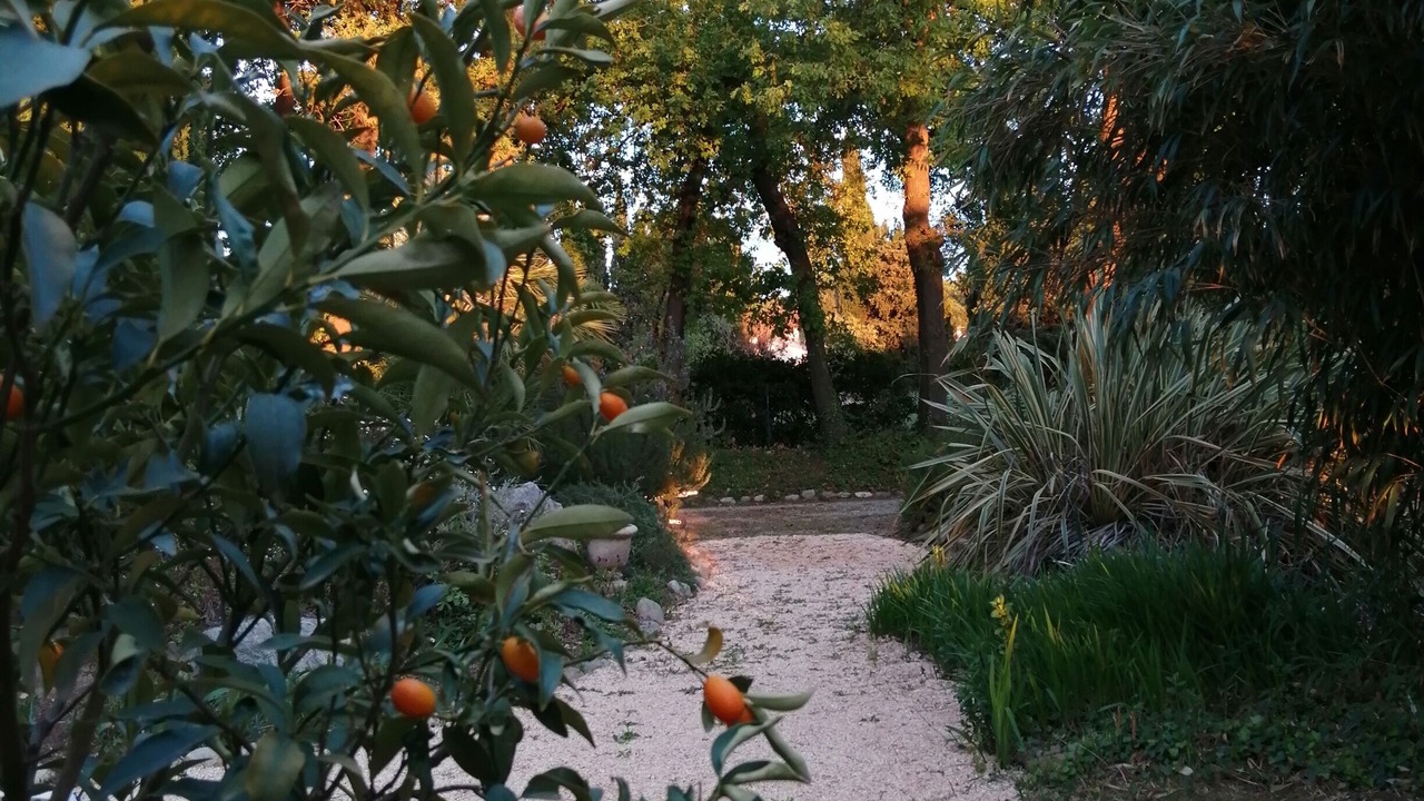 Photo of Outdoor in Palau-del-Vidre