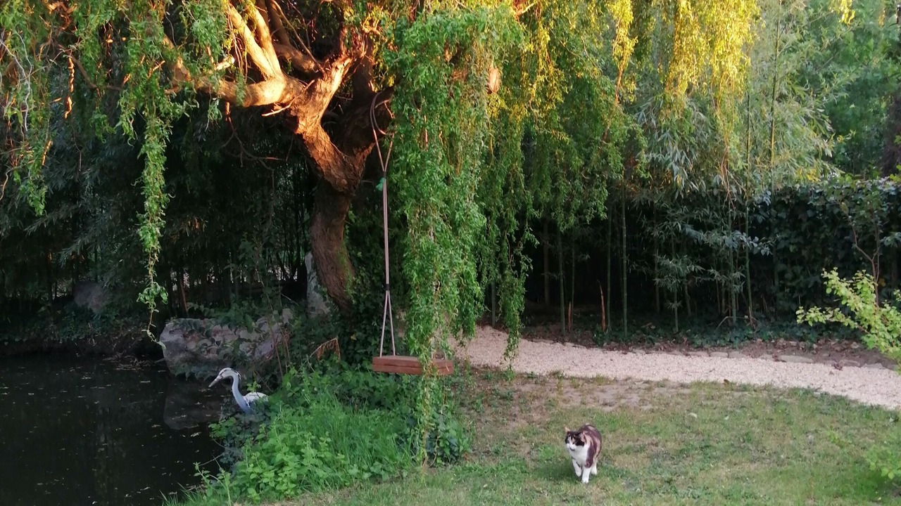 Photo of Outdoor in Palau-del-Vidre