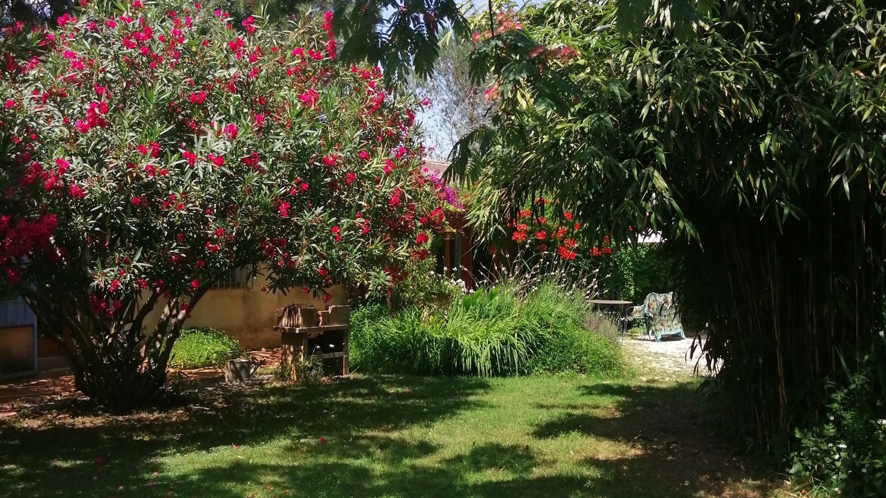 Photo of Outdoor in Palau-del-Vidre