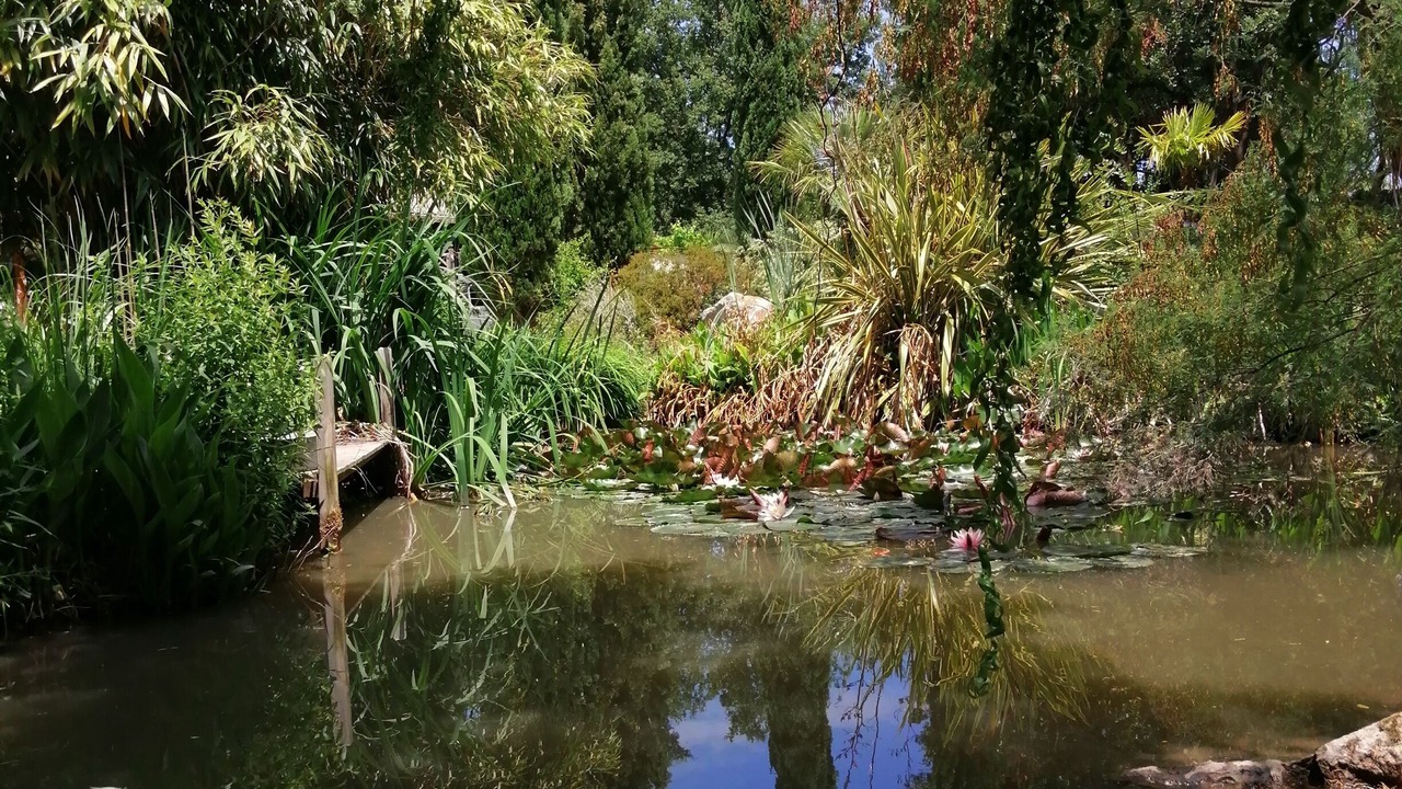 Photo of Outdoor in Palau-del-Vidre
