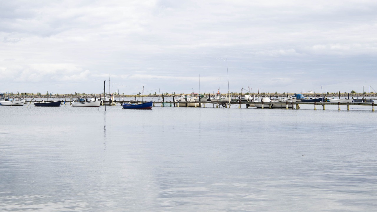 Photo of Outdoor in Amager