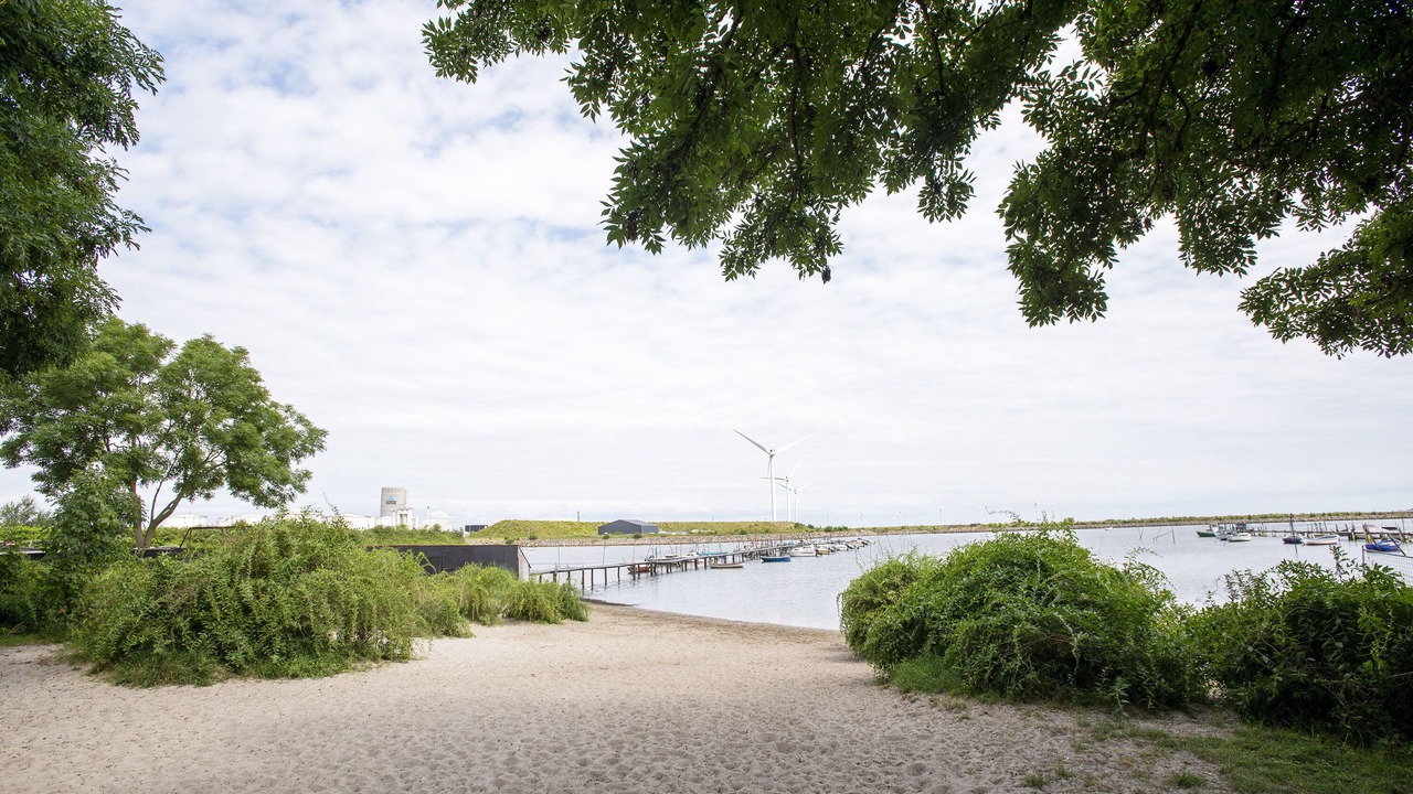 Photo of Others in Amager
