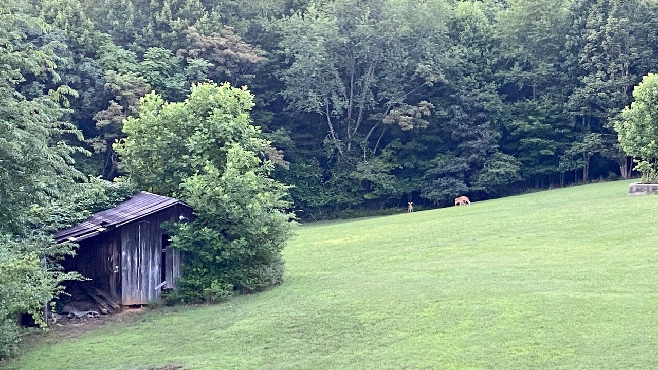 Photo of Outdoor in Henry