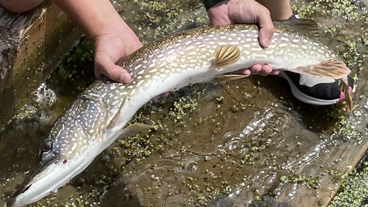 Photo of Outdoor in Wayne County