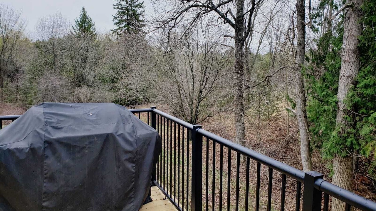 Photo of Outdoor in Selwyn