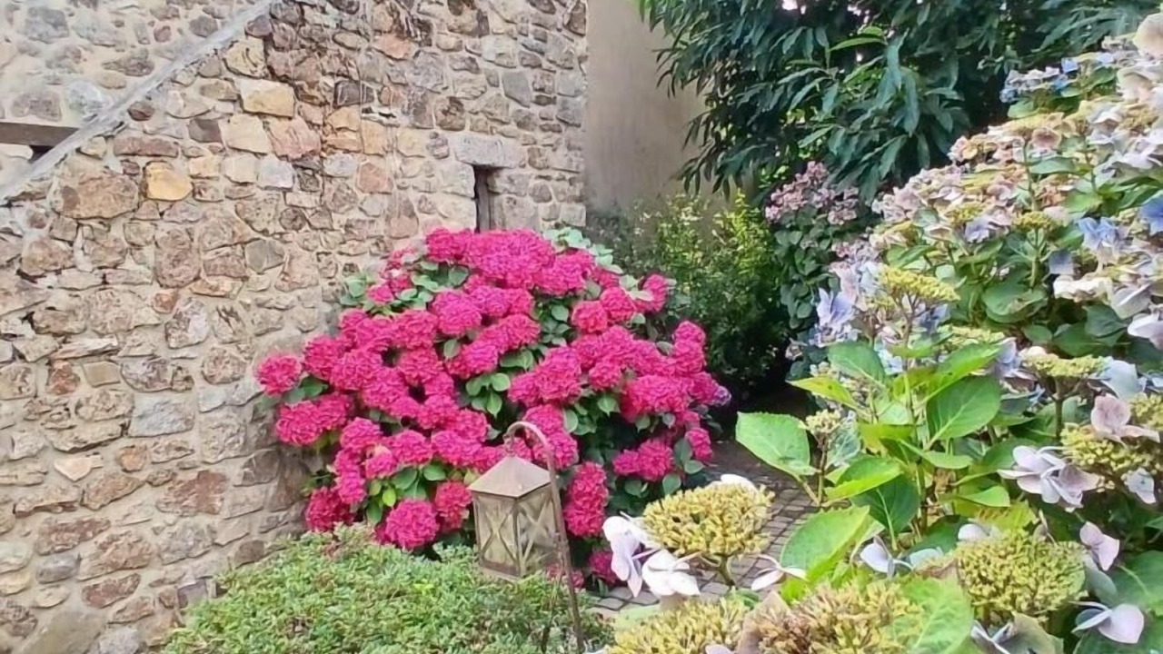 Photo of Outdoor in Saint-Pern