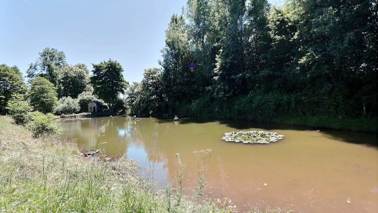 Photo of Outdoor in La Selle-en-Cogles