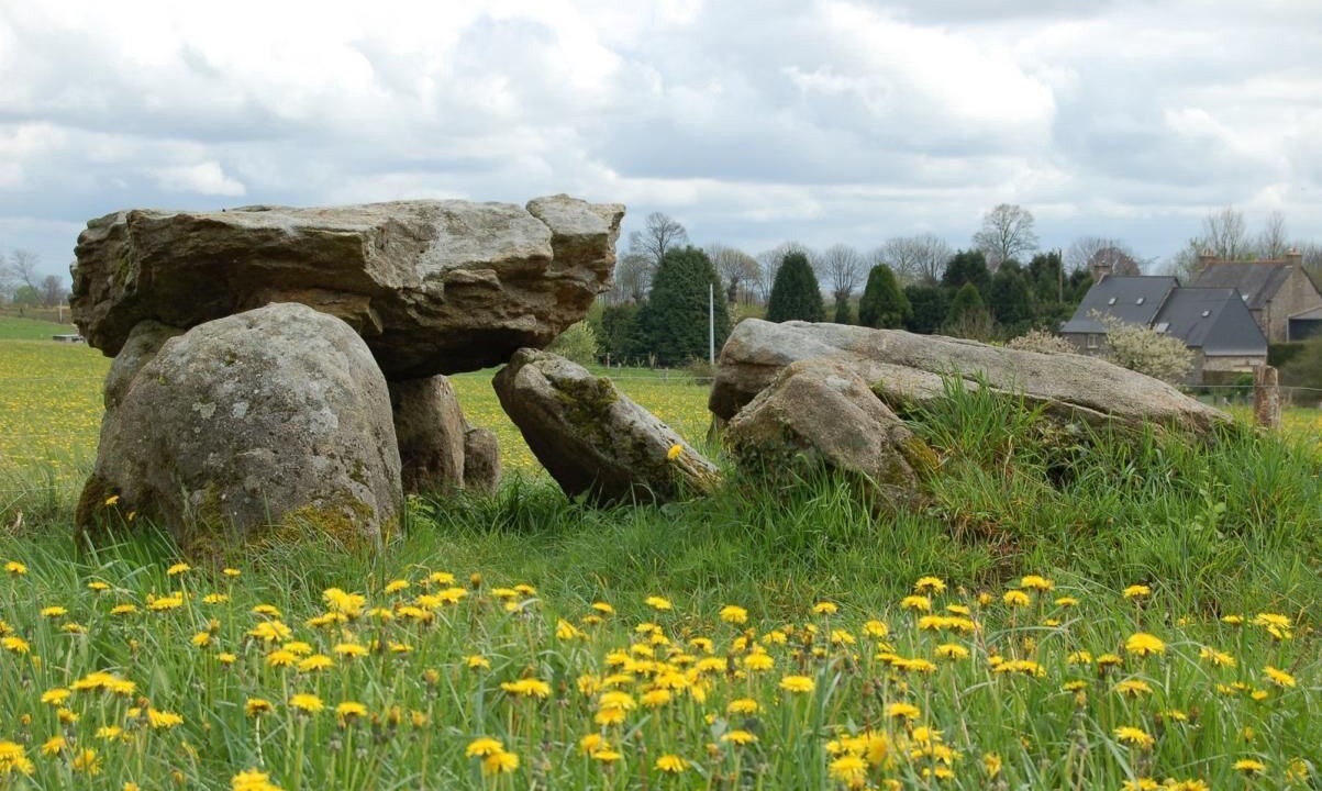 Photo of Outdoor in La Selle-en-Cogles