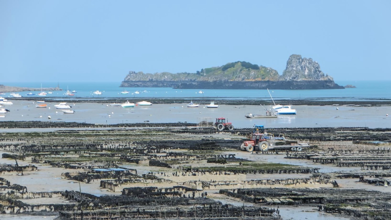 Photo of Others in Cherrueix
